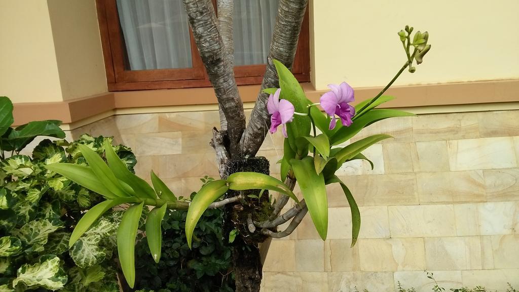 Roemah Canting Homestay *